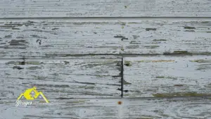 Read more about the article Summer-Proof Your Home: Signs of Siding Damage York Owners Should Know