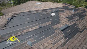 Read more about the article Roof Protection Guide: Combat Summer Heat Effects